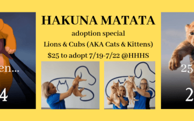 Hakuna Matata Adoption Special