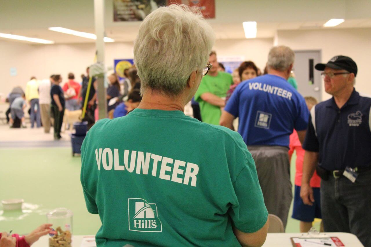 How To Become A Volunteer Helping Hands Humane Society