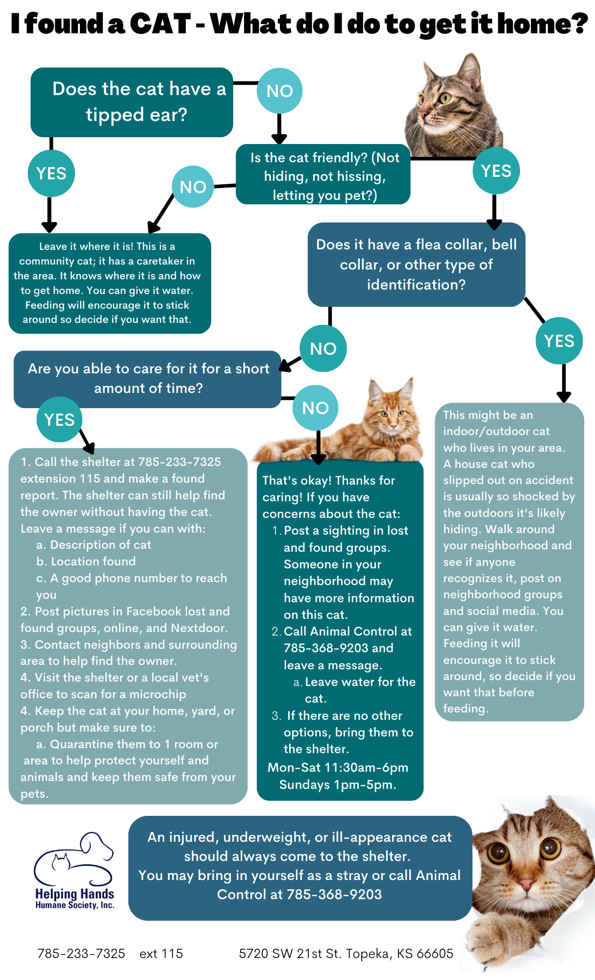 The Ultimate Pet Adoption Experience Visit Caring Hands Humane Society Today - k3pgue0