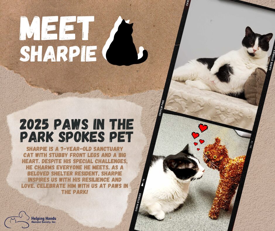 Meet Sharpie!